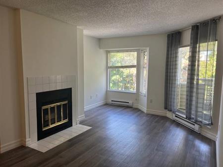 Cozy quiet 1 bed and 1 bath penthhouse unit