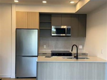 Brand New 1 bed + den / 1 bath apartment in Surrey available March 1