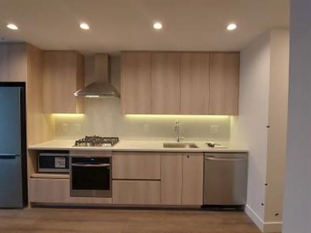 1 bedroom + den - The Grand on King George - Luxury Highrise