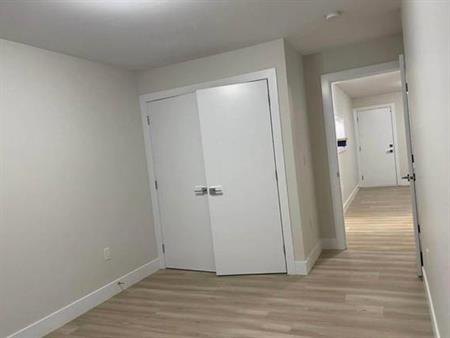 BRAND-NEW 2 BR & DEN WALK-OUT basement