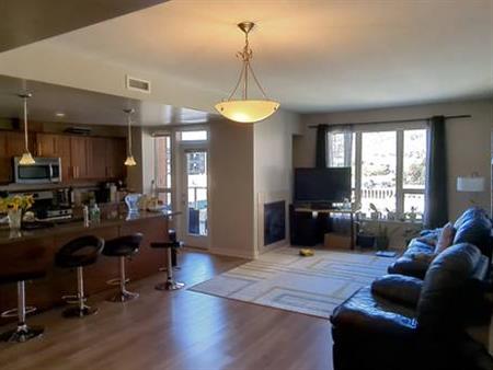 Fully furnished 2 bed 2 bath apartment