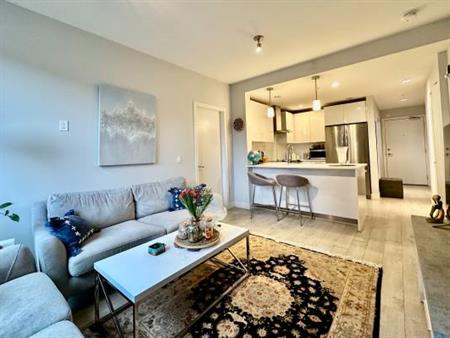 Stunning 2bed/1bath condo