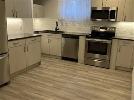 Bright, Private and Convenient Basement Suite | Edmonton