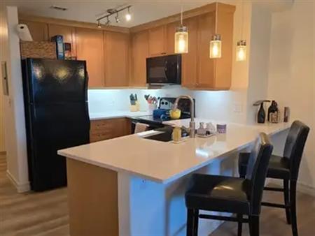 Luxury Furnished 1 Bed/Den Condo in Emerald Stone - Utilities Included! | 836 15th Ave SW, Calgary