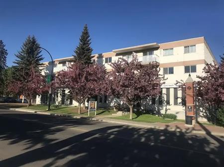 BONNIE DOON MANOR  - 1 Bedroom W/Balcony | 307 - 9107 88 Ave NW, Edmonton