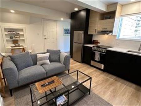 1br suite for rent Pemberton