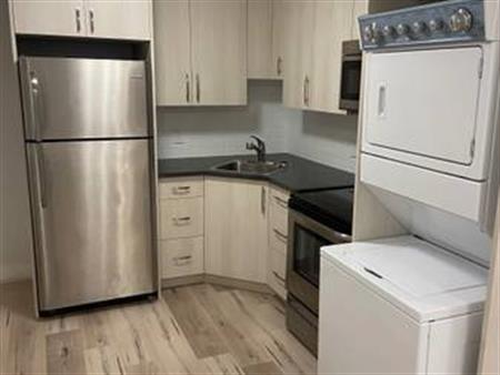 Cozy & Modern 1-Bedroom Suite for Rent – Available April 15th