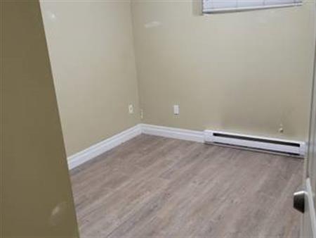 basement suite Fraser heights for rent