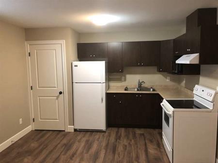 2 Bedroom and 2 Bathroom Suite located in Burke Mountain, Coquitlam