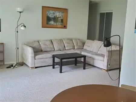 Furnished Two Bedroom Apartment near U of A, Garneau -$1595 Available Now | 4th Floor - 8149 111 Street, Edmonton