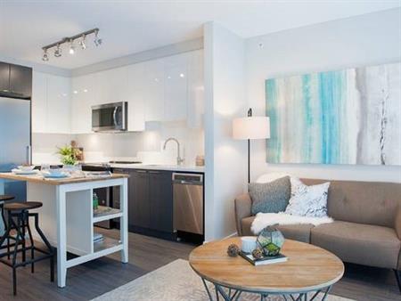 Trendy & Spacious Studio Walking Distances Near Skytrain & More!