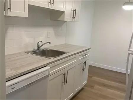 Spotless Renovated  1 Bedroom Suite Crescent Heights/Bridgeland | 206 - 325 2 Avenue Northeast, Calgary