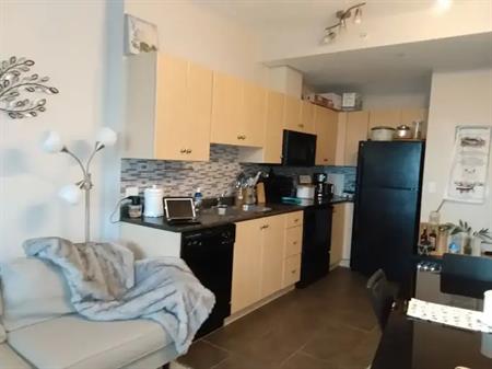 Cozy one bedroom apartment furnished all utilities included heated underground p | 1104 - 10 Ave SW, Calgary