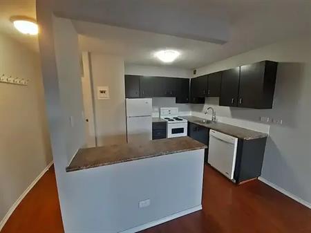 Cozy mid-size 1 Bedroom unit available Jan 1st | 1039 17 Ave SW, Calgary