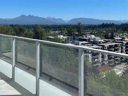 Brand New 2-Bed Condo w/Large Deck & Mountain Views for Rent!