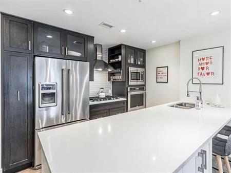 beautifully updated 1-bed, 1-bath unit