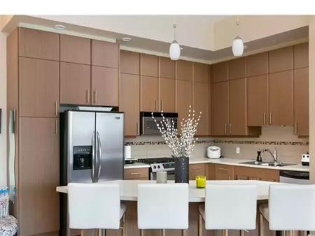 "The Lofts Downtown" Wonderful Suite! | 1329 Ellis Street, Kelowna