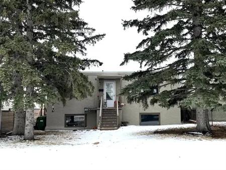 Bright, Charming Suite in Great Location | Calgary