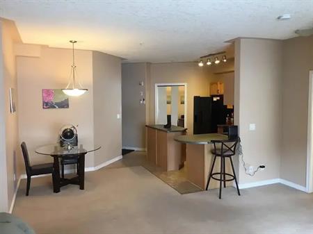 FURNISHED 2 BEDROOM 2 FULL BATH 1 UNDERGROUND HEATED PARKING STALL DOWNTOWN!!!!! | Unit 403 - 10046 110 St NW, Edmonton