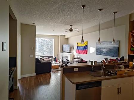 Cozy 1 Bedroom Altadore Condo | 207 - 3600 15a Street SW, Calgary