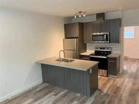 University Special: 1 Bedroom Condo Unit available February 1st | B - 11247 103 Street Northwest, Edmonton