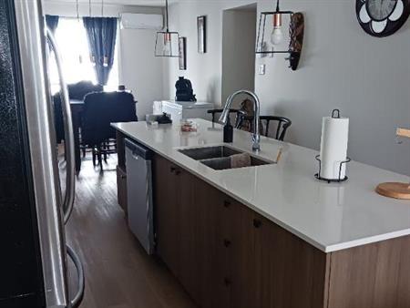 Logement 3 chambres, 2 salles de bain, St-Hyacinthe pour mars ou avril.