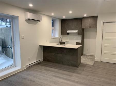 Appartement Grand 3 1/2 à Laval à louer