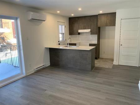 Appartement Grand 3 1/2 à Laval à louer