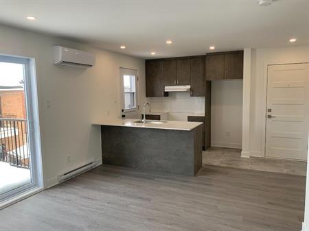 Appartement Grand 3 1/2 à Laval à louer