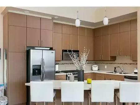 "The Lofts Downtown" Wonderful Suite! | 1329 Ellis Street, Kelowna