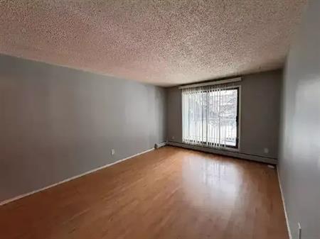 Spacious 1 bed unit with balcony westend | 10141 162 Street Northwest, Edmonton