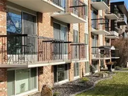 BRIGHT BASEMENT SUITE IN CRESCENT HEIGHTS! | 105 - 316 2 Avenue Northeast, Calgary