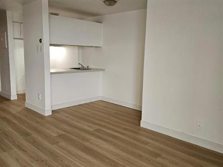 Studio - Montréal - $1,245 /mo