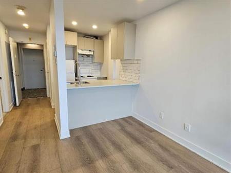 Studio - Montréal - $1,245 /mo