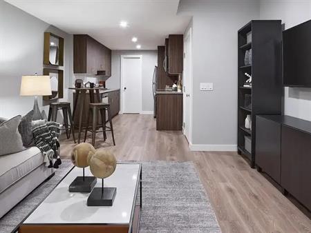 New Showhome One Bedroom Legal Basement Suite in Seton | Utilities Included | Calgary