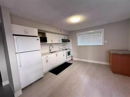 Newly renovated 2 bed 1 bath ground unit near Renfrew Heights | 37xx Slocan Street, Vancouver