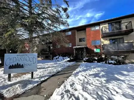 Pet Friendly! 1 Bedroom Units! In Innisfail! Available Now! | 5220 41 Street, Innisfail