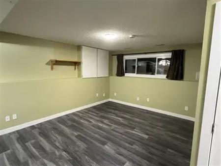 Cozy Quite 2 Bedroom Basement Suite | 1569 Lakewood Road West Northwest, Edmonton