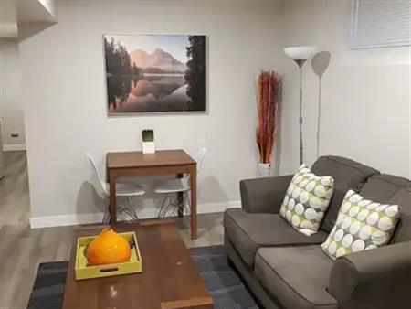 Fully Furnished Inner-City Lower Suite - Short or Long Term Rental | Calgary