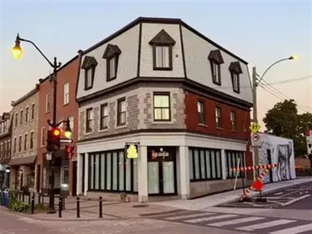 3576-3580 Notre Dame West & 295 Rose de Lima | 3576 Notre Dame West, Montreal