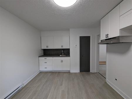 Immeuble - 175 à 187 King Ouest Logement 3 Et Demi (refait à Neuf)