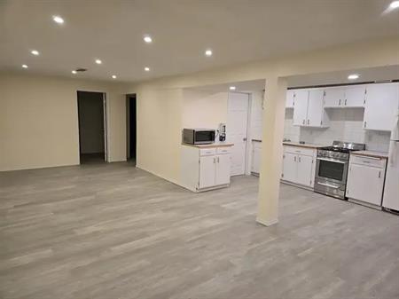 Large newly renovated basement suite | 48 Doctor Anderson Park Street East, Brooks