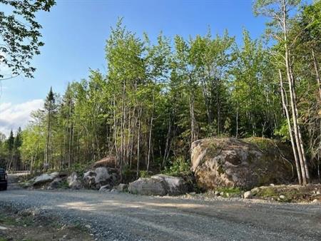 TERRAINS, ST-ALEXIS DES MONTS