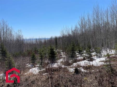 Terrain Résidentiel Petite-Rivière-Saint-François À Vendre