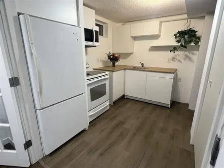 Spacious basement for Rent in Prestigious Brookside Neighbourhood new Sky Club | 14207 50 Avenue Northwest, Edmonton