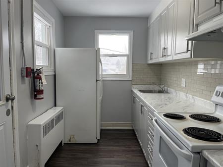 Charming 1Bed/1Bath Units In Fort Erie | 25 Forsythe Street, Fort Erie