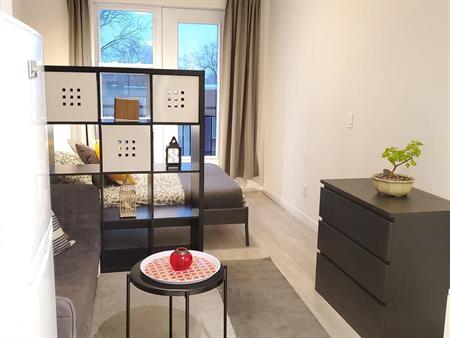 Studio - Montréal - $1,195 /mo