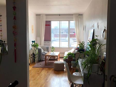 Studio - Montréal - $1,150 /mo