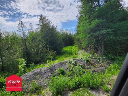 Terrain Résidentiel Saint-Bernard-de-Lacolle À Vendre