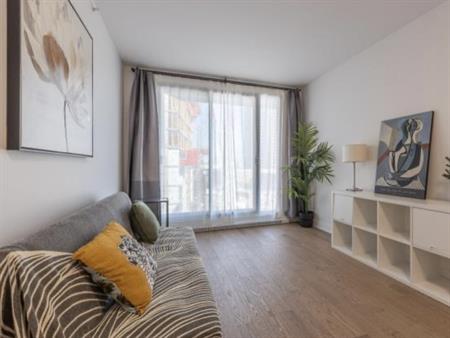 1 Bedroom - 1150 Boulevard René-Lévesque Est, Montréal